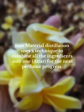 Distillation batch 2 for parfume Alas Purwo #pureoil #perfume #attar #parfum #parfumviral 