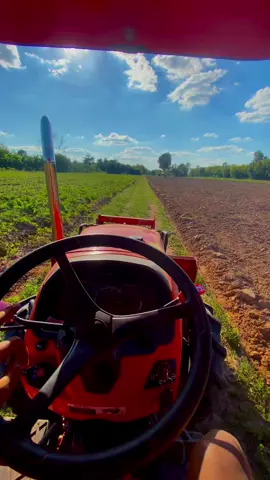 ปวดขา #สุรินทร์หวานมาก❤️‍🔥 #ฟีดดดシ #คูโบต้า #พนมดงรัก 