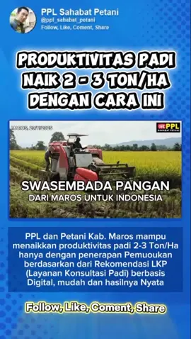 RAHASIA PETANI MAROS MENAIKKAN PRODUKTIVITAS PADI 2 - 3 TON / HA #swasembadapangan #kementan #penyuluhpertanian #petanimaju #lkp  @kementanri @BADAN SDM PERTANIAN @brmpkementan  @PusluhtanRI @sudaryono @LambeTani @jalan_amran_sulaiman 