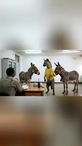 join our game using the link in our bio! #habeshatiktok #viral #fyp #foryou #foryou 