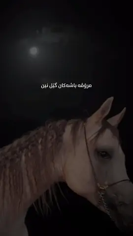 ڕاستی ئەوەیە کە مرۆڤی باش 