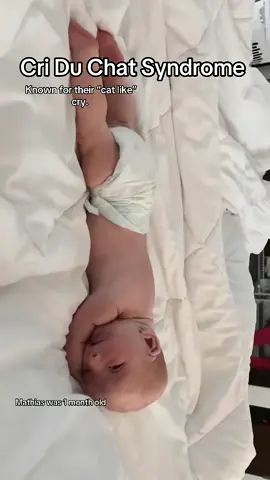 #onthisday #catlikecry #criduchat 