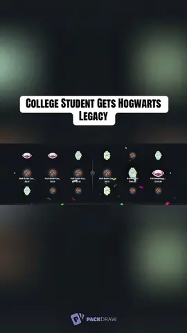 College Student Gets Hogwarts Legacy