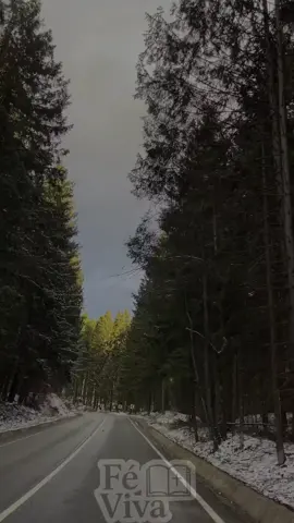 Palavra do dia. ❤️ #jovenscristãos #bomdia #gospel #adoradores #motivacional 