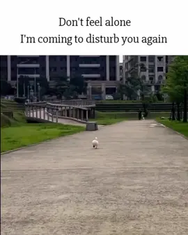 mention someone 😭💋 #viralvideo #viewsproblem #grownmyacc #millionaudition #creatorsearchinsights 