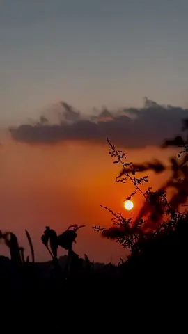 في كل شؤون الحياة مكاسبك كما خساراتك يحكمها إدراكك للمسافة المناسبة في الوقت المناسب…🍂