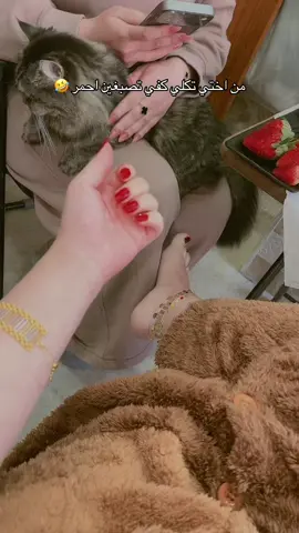 #الشعب_الصيني_ماله_حل😂😂 #ضحك😂 