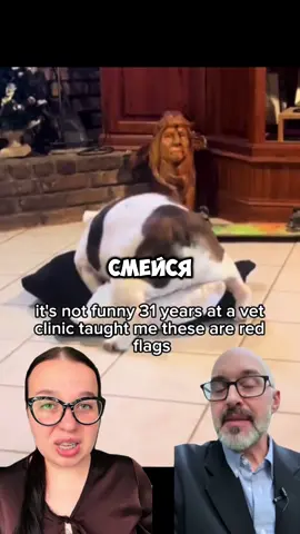 Пробиотики для собак на WB #WW166412 (копируй и вставляй вместе с WW)