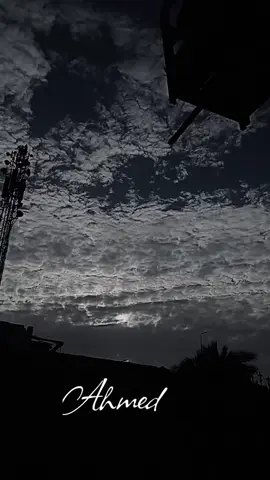 #ياسين_التهامي #احباب_رسول_الله_صلوا_عليه #عميد_دوله_المدحين_الشيخ_ياسين_التهامي_ #اسيوط_سوهاج_قنا_الاقصر_اسوان_المنيا #مشاهير 