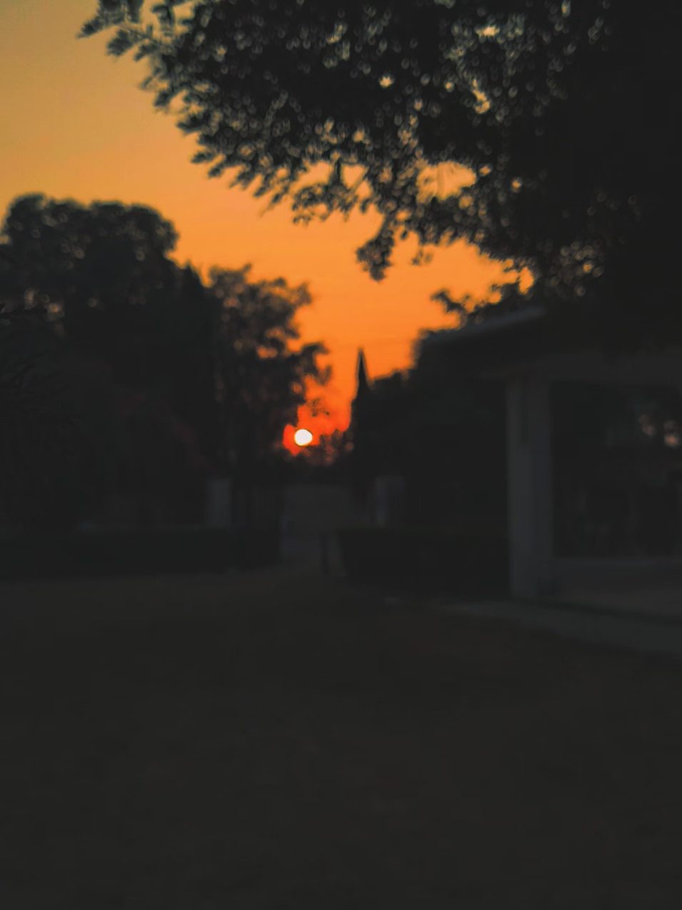 حتی کہ ایک نہ ایک دن تھک ہار کر ہم ان چیزوں کو بھی چھوڑ دیں گے، جو فی الحال ہمیں از حد عزیز ہیں۔