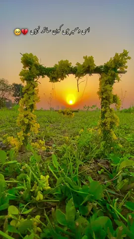 #میرا_سہنا_پنڈ_بلیئر_ضلع_قصور♥️🍁🌴🌱😇🥰 #fypシ゚ #viralvideo #bilalofficial00🥰 #1millionviews 