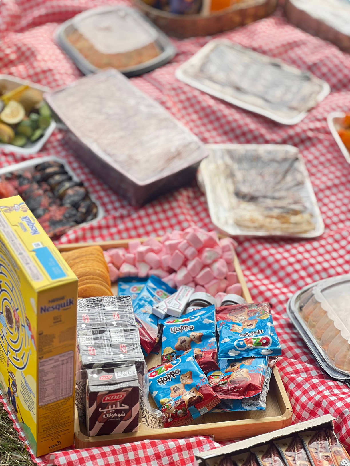 🤷🏻‍♀️🌷شوفوني سفرتكم بالتعليقاتت #schooltrip #سفرة_مدرسية #fypシ゚viral #baghdad #اليسا 