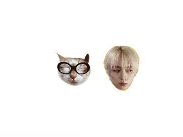 Minho is a certified gigolo #leeknow #minho #straykids #kpop #cat @bbno$ 