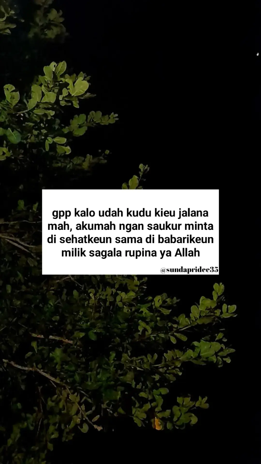 Bahan-bahan📝: 200 gram tepung terigu protein sedang 1 butir telur 150 ml air 100 ml susu cair 5 sendok makan gula pasir (bisa disesuaikan dengan selera) 1/2 sendok teh soda kue 1/2 sendok teh ragi instan 12 sendok teh vanila esens 12 sendok teh garam Margarin secukupnya Topping📝: 1. Margarin secukupnya Susu kental manis secukupnya. 2. Meses coklat secukupnya Keju cheddar parut, secukupnya. Cara membuat/: 1. Campurkan telur, 3 sendok gula pasir, garam, vanila esens, serta soda kue, kocok menggunakan whisk hingga semua bahan tercampur rata. 2. Masukkan terigu, air, serta ragi instan, kocok kembali semua adonan hingga tercampur rata dan setelah itu istirahatkan adonan selama ± 30 menit. 3. Panaskan teflon dan olesi dengan margarin secukupnya. Lalu tuangkan adonan martabak manis ke dalam teflon. Ratakan hingga ke pinggiran teflon untuk berikan lapisan tengah pada ujung-ujung martabak. Tutup teflon. 4. Ketika martabak sudah setengah matang, buka teflon dan taburi martabak dengan 2 sendok gula pasir atau bisa disesuaikan dengan selera. Tutup kembali teflon dan masak lagi hingga martabak matang sempurna. 5. Angkat martabak yang telah matang dari teflon, olesi dengan margarin secukupnya pada semua permukaan martabak. Untuk topping, taburi martabak dengan meses coklat dan parutan keju, kemudian siram dengan susu kental manis secukupnya. 6. Setelah diberikan topping, martabak bisa dipotong menjadi dua bagian dan ditumpuk saling menutup satu sama lain dan potong martabak manis sesuai selera. Martabak manis teflon siap disajikan. Selamat menikmati & selamat mencoba!!! #sundapridee35 #quotessunda 