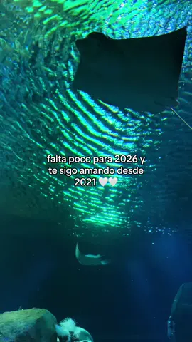 Como estás hoy?  #mujereslatinas #aquarium #frasesdeamor #compartir #fyppppppppppppppppppppppp 