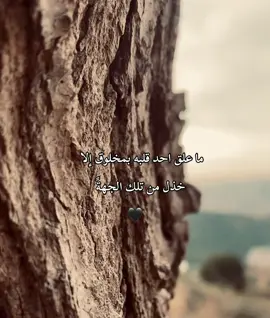 #لا_اله_الا_الله #الاهم_صلي_على_سيدنا_محمد❤️ #سوريا_تركيا_العراق_السعودية_الكويت #متابعه_ولايك_واكسبلور_احبكم 