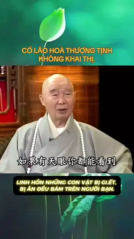 LINH HỒN NHỮNG CON VẬT BỊ GI.ẾT,  BỊ ĂN ĐỀU BÁM TRÊN NGƯỜI BẠN. Pháp ngữ của Cố Lão Hòa Thượng Tịnh Không Trích trong: Căn Nguyên Của Tai Nạn Và Bệnh Tật, Hãy Trân Trọng Sinh Mạng, Xin Đừng Gi.ết H.ại Động Vật CỐ LÃO HOÀ THƯỢNG TỊNH KHÔNG KHAI THỊ. NAM MÔ A DI ĐÀ PHẬT .  NAM MÔ A DI ĐÀ PHẬT .  NAM MÔ A DI ĐÀ PHẬT .  #tam_thanh_tinh_183 #hoathuongtinhkhong #creatorsearchinsights #dongvat #dongvathoangda 