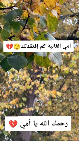 #رحمك_الله_يا_فقيدة_قلبي💔 
