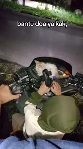 memutuskan untuk bawa pulang, semoga dia sehat dan bisa menjadi teman mochi #anakkucing #kucingrescue #straycats #kitten #viral 