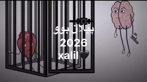 5:5🖤#foryoupage #xalil__🖤 #xalilsndi100 #aramiiyak100 #zaxo_duhok_hewler_slemani_hawler 