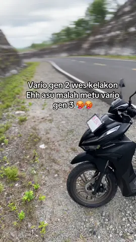 #vario #variogen3 #varionew #variogen2 #vario125 