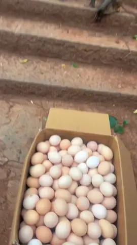 #ကြည်နူးစရာမြင်ကွင်းလေး 