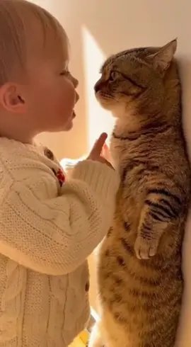 Funny babies 😂#funnybabyvideos #funnybabies #cat #catlover #catsofttiktok 