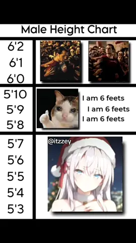 Title here #height #meme anime #fyp #christmas #alya 