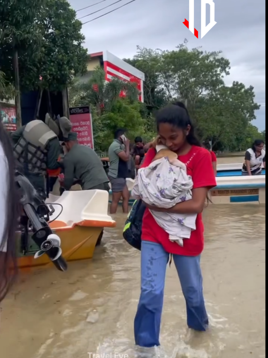 අහිංසක එයාලව කොහොම දාල යන්නද දරුවො වගේ #thivankab #1millionaudition #creators #creatorsearchinsight #trend 