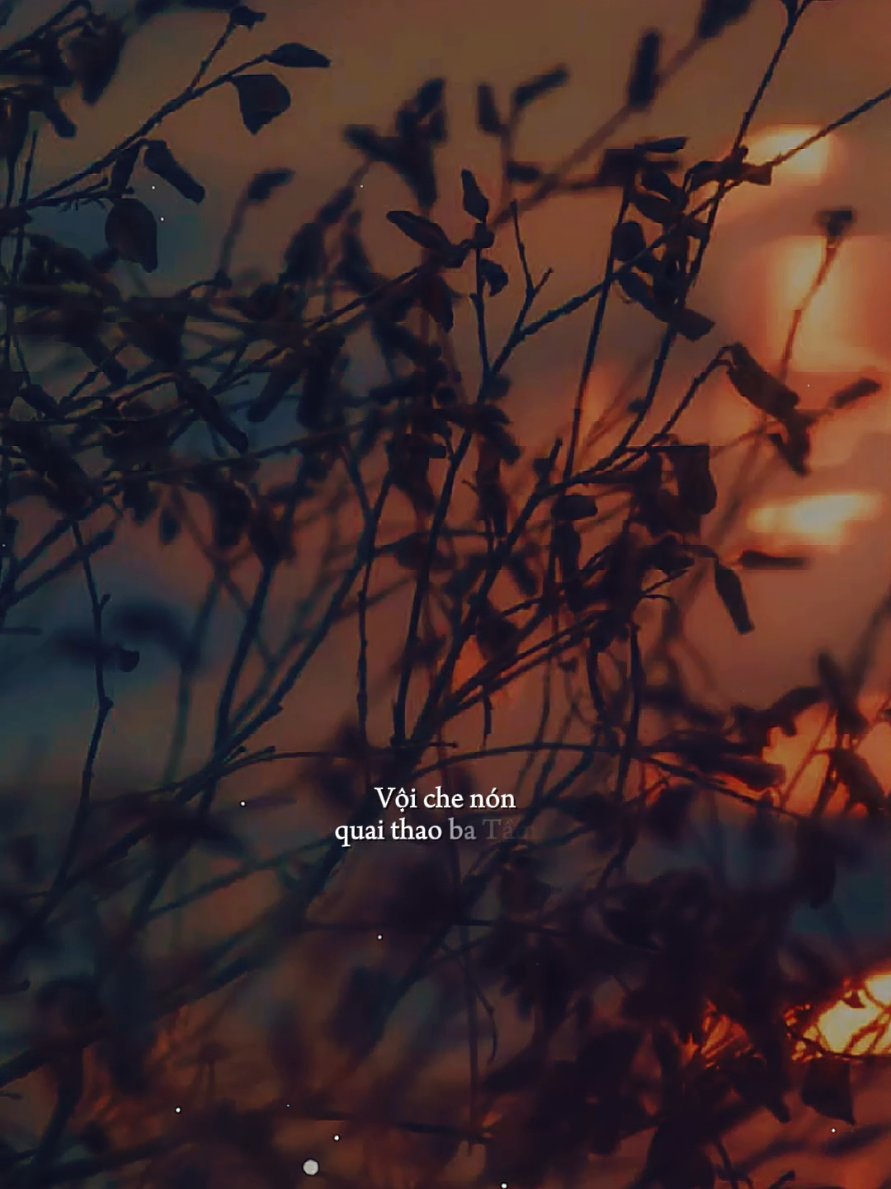 #daonuong  #nhachaymoingay  #nhactamtrang  #xh #pnnguyen39 