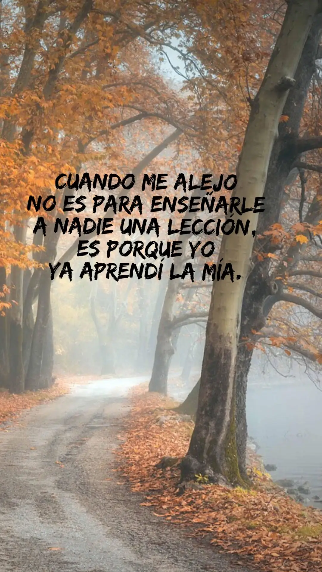 #frases #pensamientos #nonina 