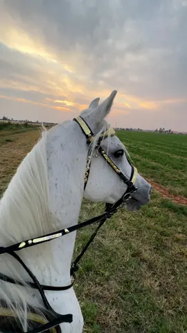 #حايل #مصورين_حايل 