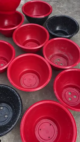 chậu trồng hoa trồng rau #chauhoa #chautronghoa #chautrongrau #chautrongcay #chaunhua 