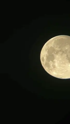 Super Cold Moon🌕🔭 #moon #bulan #supermoon #astrophile #astrophotography 