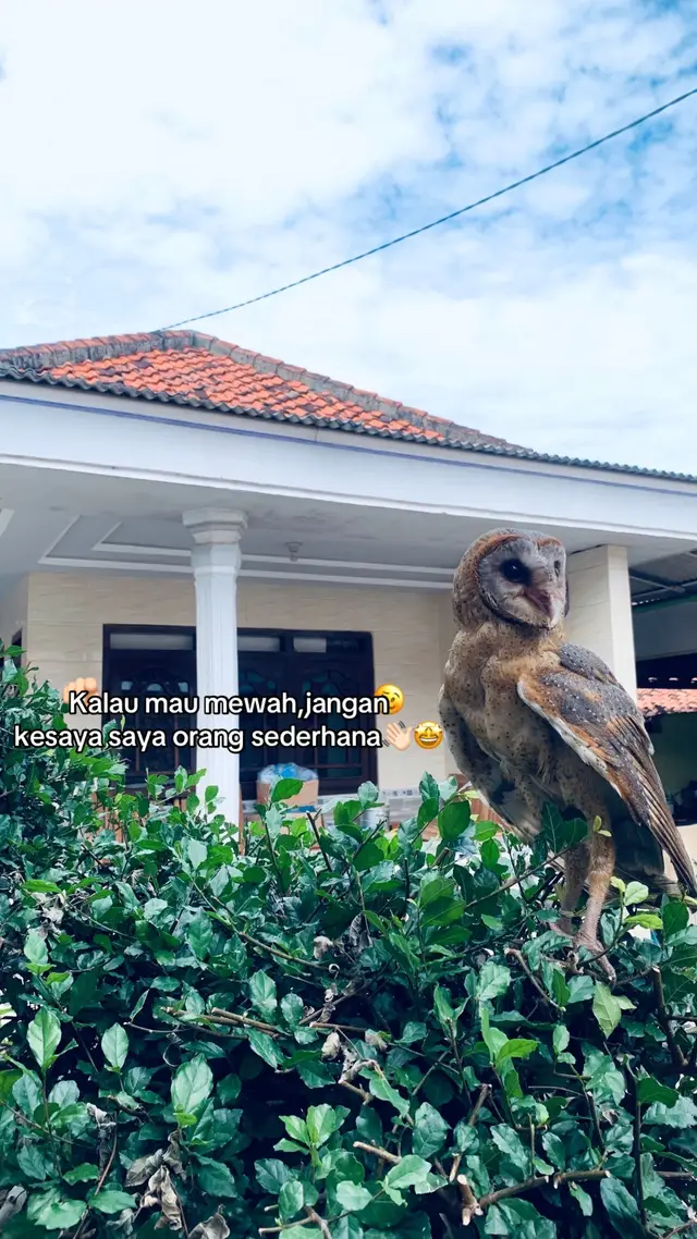 #fyp #lieeendiva #4u #xzybca 