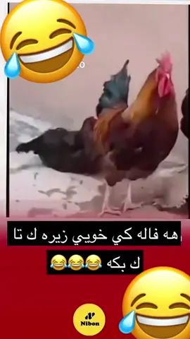 #zaxo_duhok_hewler_slemani_hawler #زاخو_دهوك_هولير_سليماني_ئاكري_سيمي #zaxoyi #duhoki #zaxo 