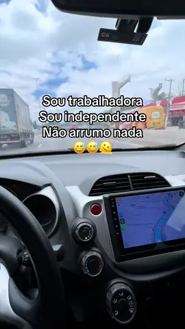 A luta da gata #fyp #tiktok #meme #vaiprofycaramba 