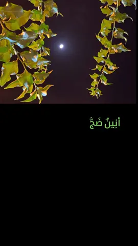 أنين ضج في صدري لضاه#انشاد #اكسبلورexplore 