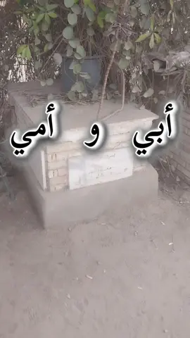 #ابي #امي 