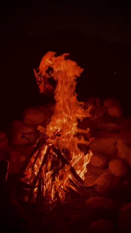 کچھ چیزیں زندگی میں اتنی دیر سے ملتی ہیں کہ انہیں پانے کی حسرت ہی ختم ہو جاتی ہے 🥀🙂 #foryou #foryoupage #viralvideo 