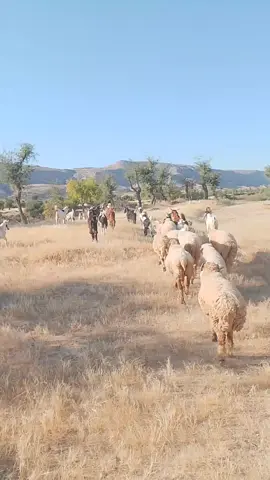 #❤️❤️❤️❤️❤️❤️❤️❤️❤️❤️❤️❤️❤️❤️❤️ 