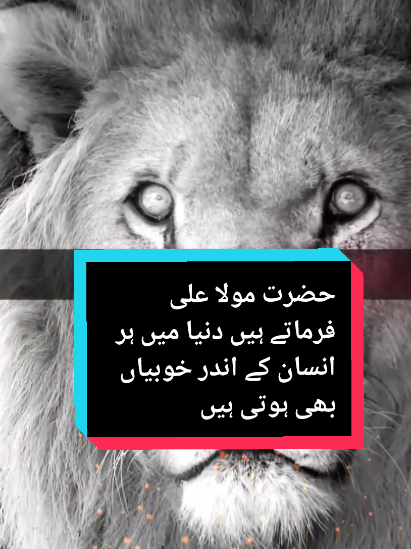 Hazrat Maula Ali farmate Hain Duniya Mein Har Insan ke andar khubiyan bhi hoti hai.#alilife #molaali #aliqoutes #motivacion #motivationvideoforyou 