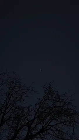 #fyp #foryoupage#payvet..mn #duhok_zaxo_amedi_semel_akre #likeandcomment 