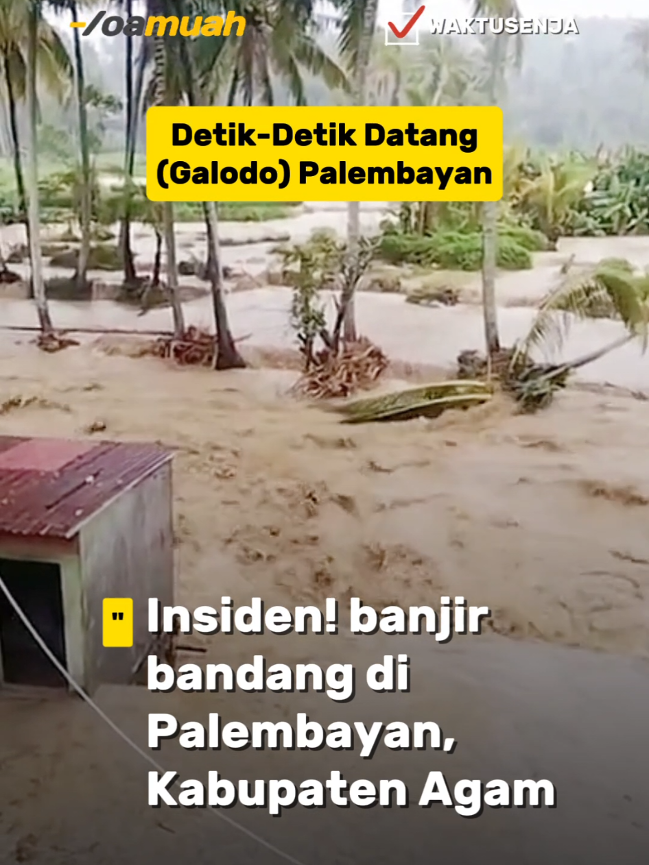 Update 56. Insiden banjir bandang di Palembayan, Kabupaten Agam terjadi beberapa hari yang lalu, tepatnya pada Kamis, 27 November 2025. Hingga hari ini, Rabu, 3 Desember 2025, daerah tersebut masih dalam masa tanggap darurat dan pemulihan, dengan beberapa perkembangan terkini 👇 1. Penyaluran Listrik: Menteri ESDM memastikan bahwa listrik di Kecamatan Palembayan akan menyala pada Rabu malam (hari ini) menggunakan genset, karena tiang-tiang listrik utama hanyut terbawa arus banjir. 2. Pelayanan Kesehatan: Posko darurat, seperti yang didirikan oleh Semen Padang Peduli, masih melayani korban banjir yang membutuhkan bantuan medis untuk luka-luka yang mereka derita. 3. Pencarian Korban: Proses pencarian korban masih berlangsung, meskipun terkendala oleh lumpur tebal dan luasnya areal bencana. Hingga kemarin, setidaknya 116 korban telah ditemukan di Agam, dengan lebih dari 70 orang masih hilang. 4. Kondisi Warga: Beberapa daerah masih terisolir akibat akses jalan yang tertutup longsor, menyebabkan kekhawatiran akan menipisnya stok pangan. Bencana ini merupakan salah satu banjir bandang terparah yang melanda Sumatera dalam beberapa dekade terakhir. Korban terdampak mengalami kerugian material yang besar, bahkan ada laporan penjarahan di rumah-rumah yang ditinggalkan warga untuk mengungsi.  Kecamatan Palembayan, Kabupaten Agam hari ini 3 Desember 2025 Berita Terbaru #yoamuah #NEWS 