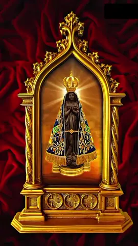 #oração #nossasenhora #fé #padremarcelorossi #reflexão 