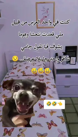 #CapCut  #MemeCut #Meme  #viraltiktok #viral  @ضحك وتمهبيل شرات والمعاني✌ 