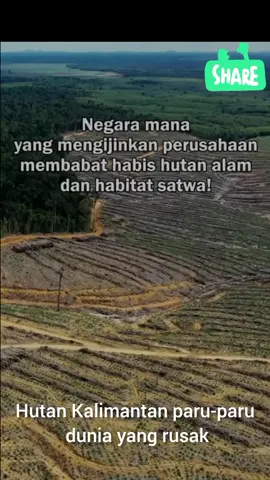#savetheforest#hutankalimantan#fypシ゚viral#fyppppppppppppppppppppppp 