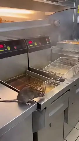 #trending #ai #viralvideo #foryoupage #growmyaccount 