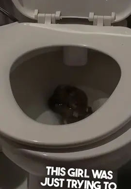 Imagine opening the toilet and seeing this #trending #viral #foryoupage #fypシ゚viral #animal