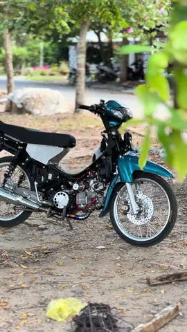 mặc áo zô nua là ăn tết đuoc roai  #wavenhodonkieng #xuhuonggggg 